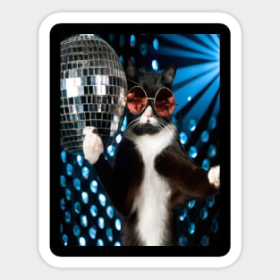 disco cat Sticker